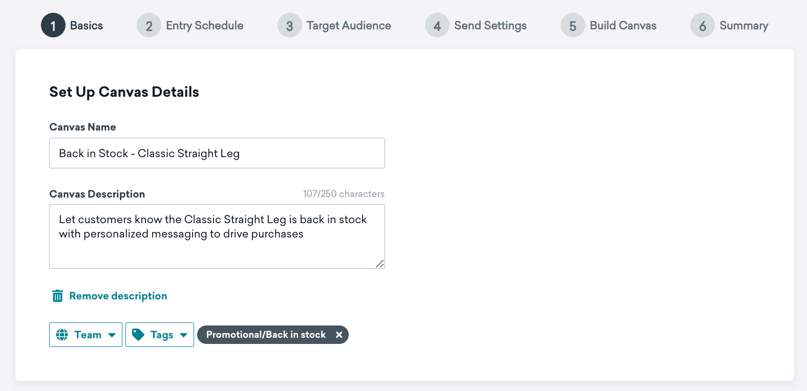 L'étape du canvas "Set Up Canvas Details" avec un nom de canvas "Back in Stock - Classic Straight Leg" et une brève description du canvas.