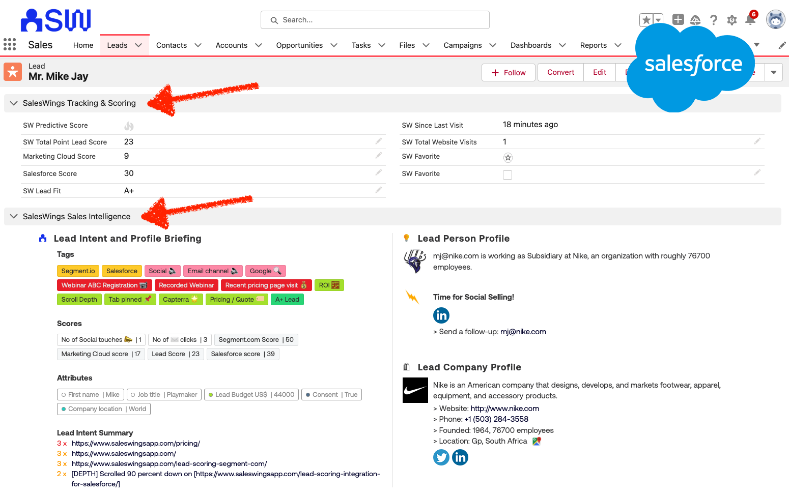 Exemple de vue des informations sur les ventes pour les commerciaux dans Salesforce (également disponible pour d'autres systèmes CRM)